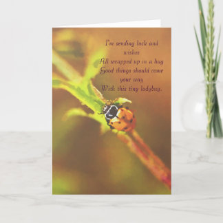 Carte J'envoie de la chance..ladybug greetingcard