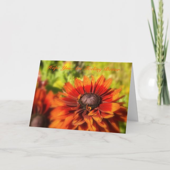 Carte J'Espère Que Vous Vous Sentez Mieux (Devant)