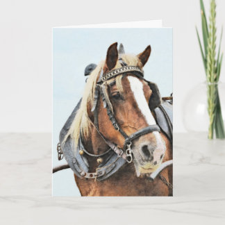 Carte Jeu de cheval en harnais