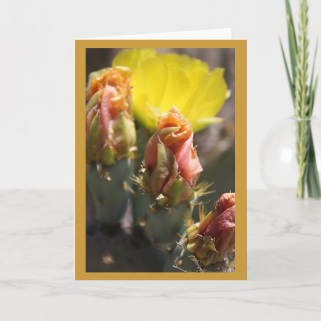 Carte Jeu d'épines (Devant)