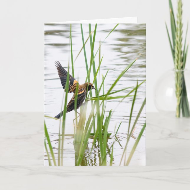 Carte Jeune oiseau en vol (Devant)