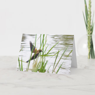Carte Jeune oiseau en vol