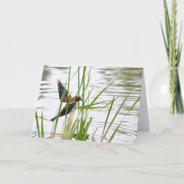 Carte Jeune oiseau en vol (Devant)