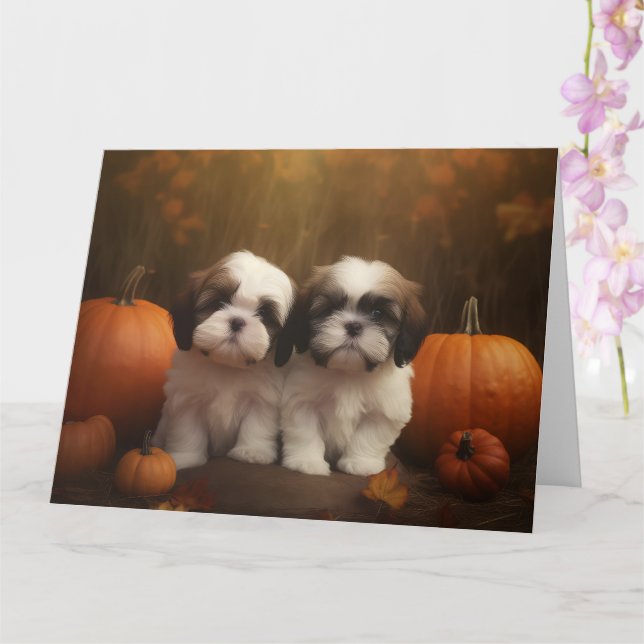 Carte Jeune Shih Tzu Automne Délice Citrouille  (Orchidée)