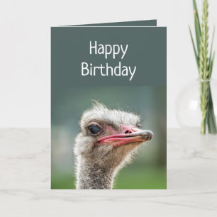 Carte Jeune une fois votre tour sur le jugement Ostrich