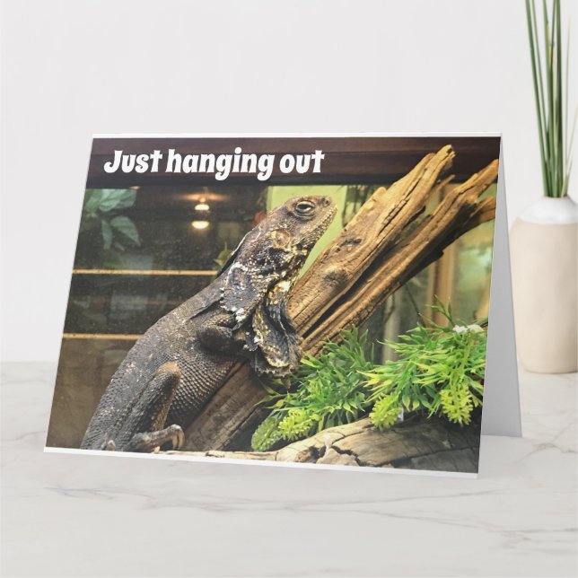 Carte JEUX "50ème" ANNIVERSAIRE À MON "VIEUX SOI" (Devant)