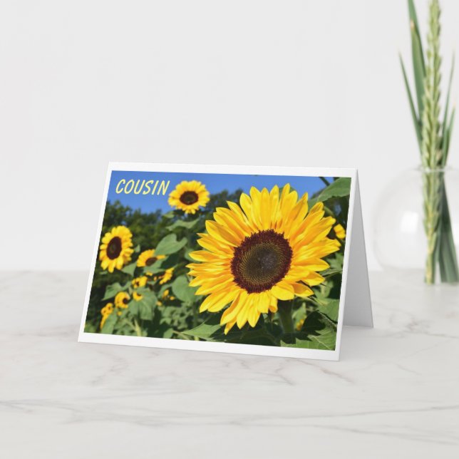 CARTE JEUX ANNIVERSAIRE À UN "BEAU COUSIN" (Devant)