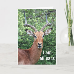 CARTE JEUX ANNIVERSAIRE DE "COMEDIC DEER"