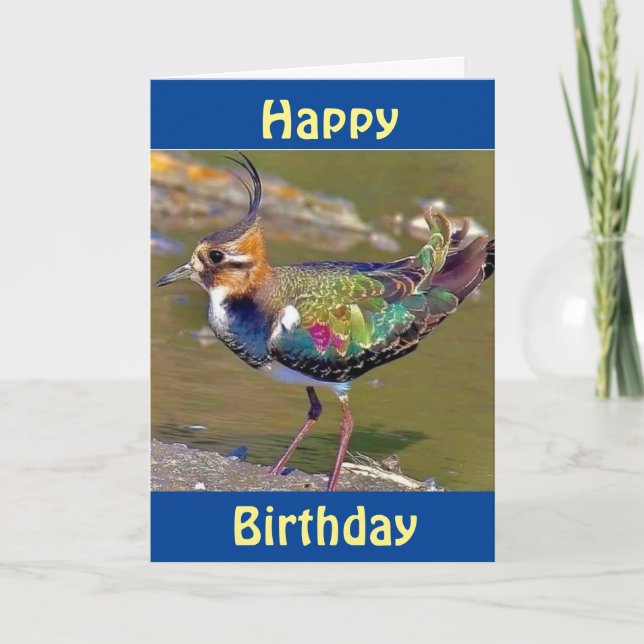 CARTE JEUX ANNIVERSAIRE DE "L'OISEAU COMÉDIQUE" (Devant)
