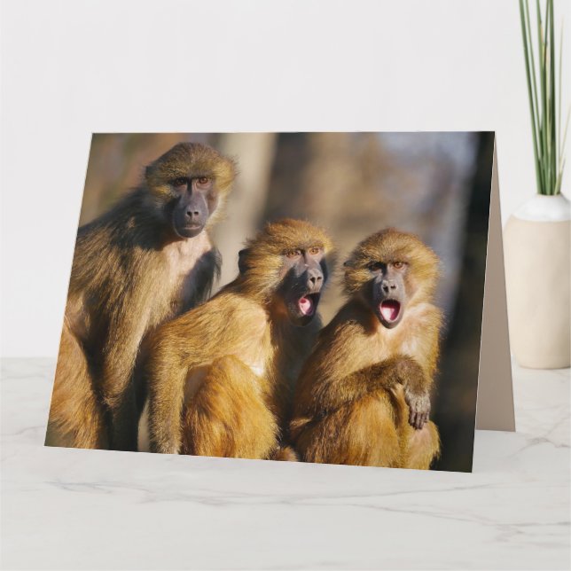 CARTE JEUX ANNIVERSAIRE DES TROIS 3 DE NOUS MONKEY (Devant)