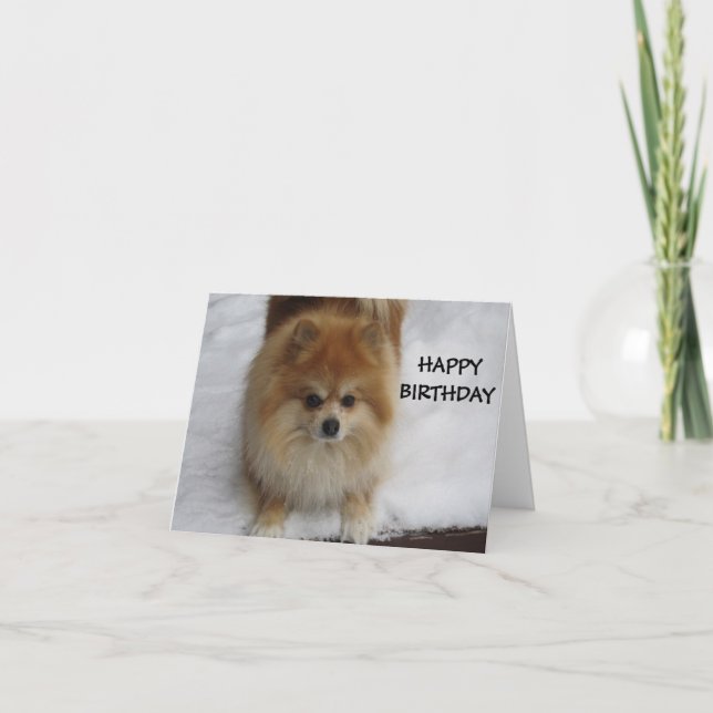 CARTE JEUX ANNIVERSAIRE DIT LE POMERANIEN (Devant)