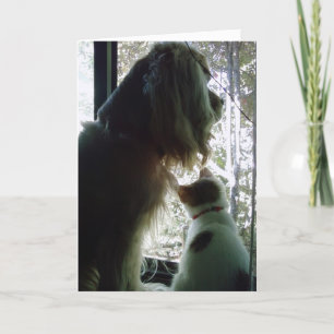 CARTE JEUX ANNIVERSAIRE ***FILLE***