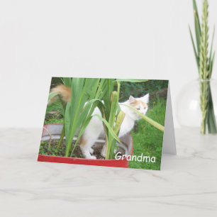 CARTE JEUX ANNIVERSAIRE GRANDMA