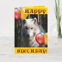 JEUX OEIL loup hibou animal de loup