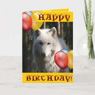 Carte JEUX OEIL loup hibou animal de loup