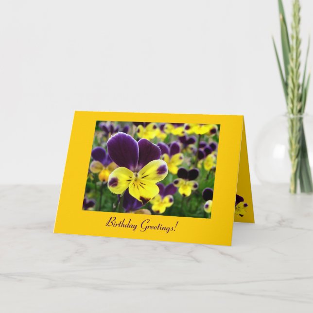 Carte Johnny Jump Up Anniversaire (Devant)