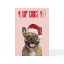 Joie de Noël de Bouledogue Français
