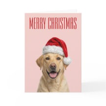 Joie de Noël du Labrador Retriever