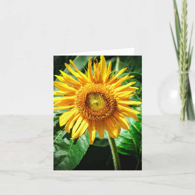 Carte Joie de Tournesol (Devant)