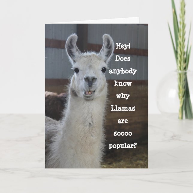 Carte Joli Amoureux Humoristique Llama Anniversaire (Devant)
