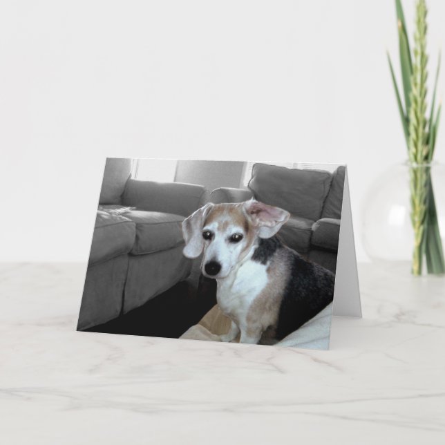 CARTE JOLI ANNIVERSAIRE (Devant)