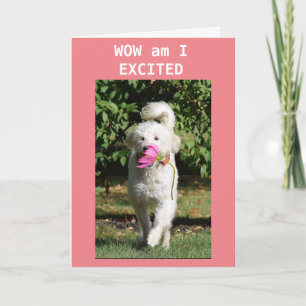 CARTE JOLI ANNIVERSAIRE À MA **FILLE**