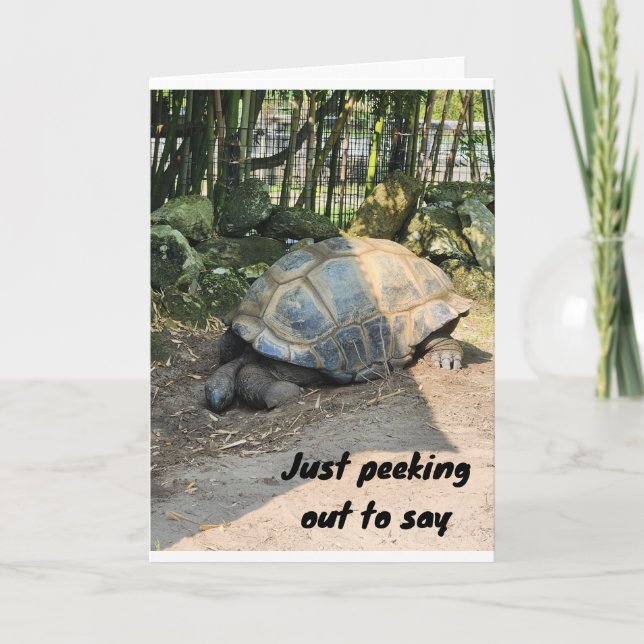 CARTE **JOLI ANNIVERSAIRE** DE SILLY TURTLE (Devant)