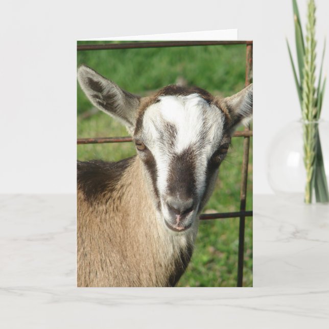 Carte Joli Billy Kid (Devant)