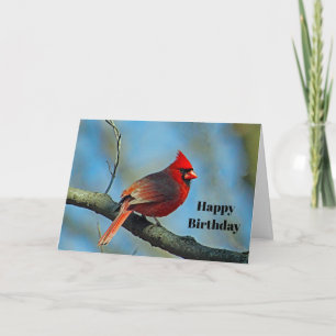 Carte Joli Cardinal Rouge Photo Anniversaire