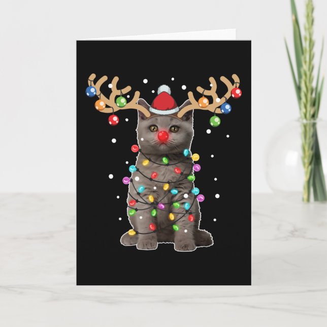 Carte Joli chat British Shorthair drôle de Noël vacances (Devant)