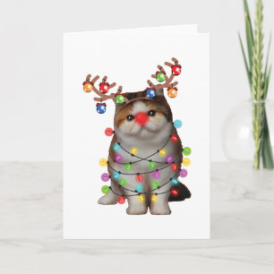 Carte Joli chat exotique à poil court Cadeau drôle de No