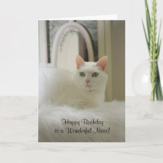 Carte Joli chat/Feminine Anniversaire