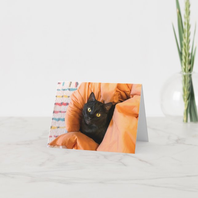 Carte Joli Chat Noir (Devant)