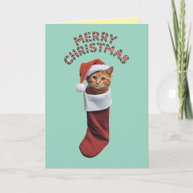 Carte Joli Chat Orange Noël Vacances (Devant)