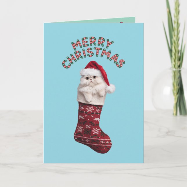 Carte Joli chat persan blanc Noël (Devant)