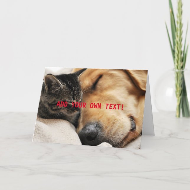 Carte Joli Chaton et Chiot AJOUTEZ VOTRE PROPRE TEXTE (Devant)