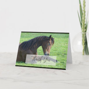 Carte Joli Cheval Brown allongé dans le Merci d'herbe