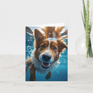 Carte Joli chien brun et blanc sous l'eau nageant couver