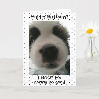 Carte Joli Chien Je Soupçonne que c'est Ton Anniversaire