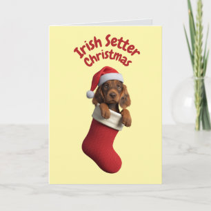 Carte Joli chien Setter Irlandais Noël