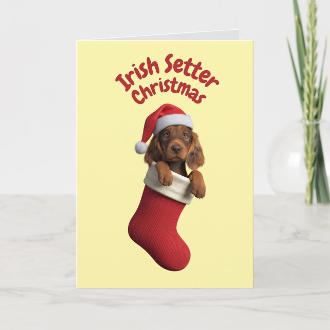 Carte Joli chien Setter Irlandais Noël (Devant)