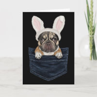 Joli chiot Bouledogue Français Chapeau de Lapin Da