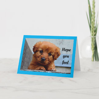 Carte Joli Chiot S'En Sortir
