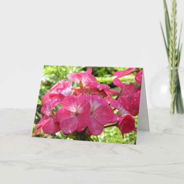 Carte Joli dans les fleurs roses Voeux d'anniversaire (Devant)