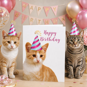 Carte Joli de la part de votre chat Félicitations d'anni