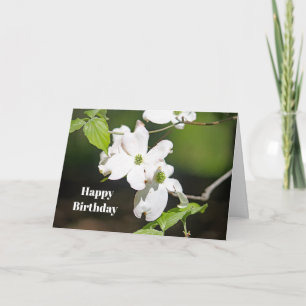 Carte Joli Dogwoods Blanc Flore Photo Anniversaire