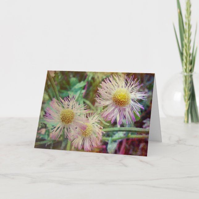 Carte Joli et rose (Devant)