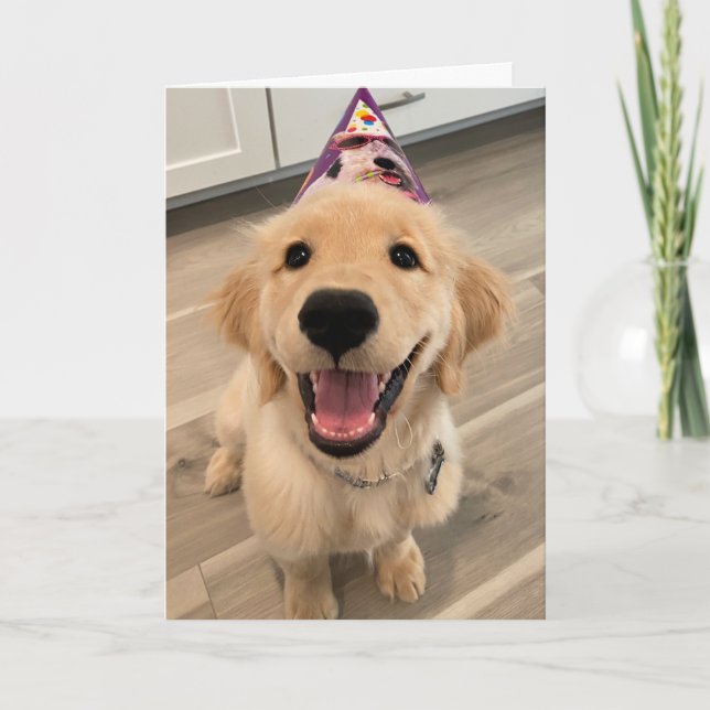 Carte Joli Golden Retriever Chien chiot avec Casquette d (Devant)