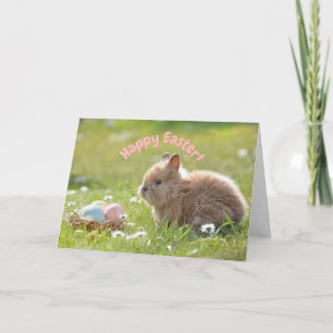 Carte Joli lapin de Pâques avec des œufs peints
