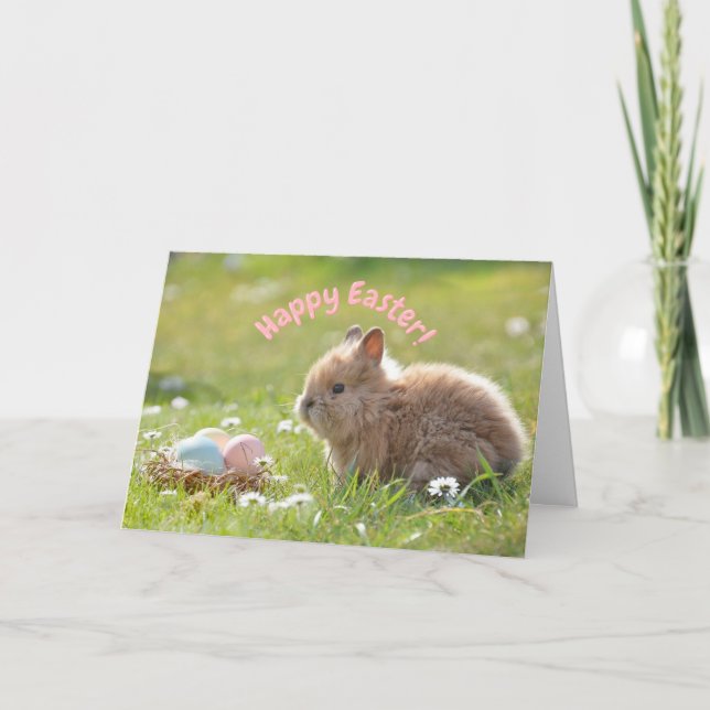 Carte Joli lapin de Pâques avec des œufs peints   (Devant)